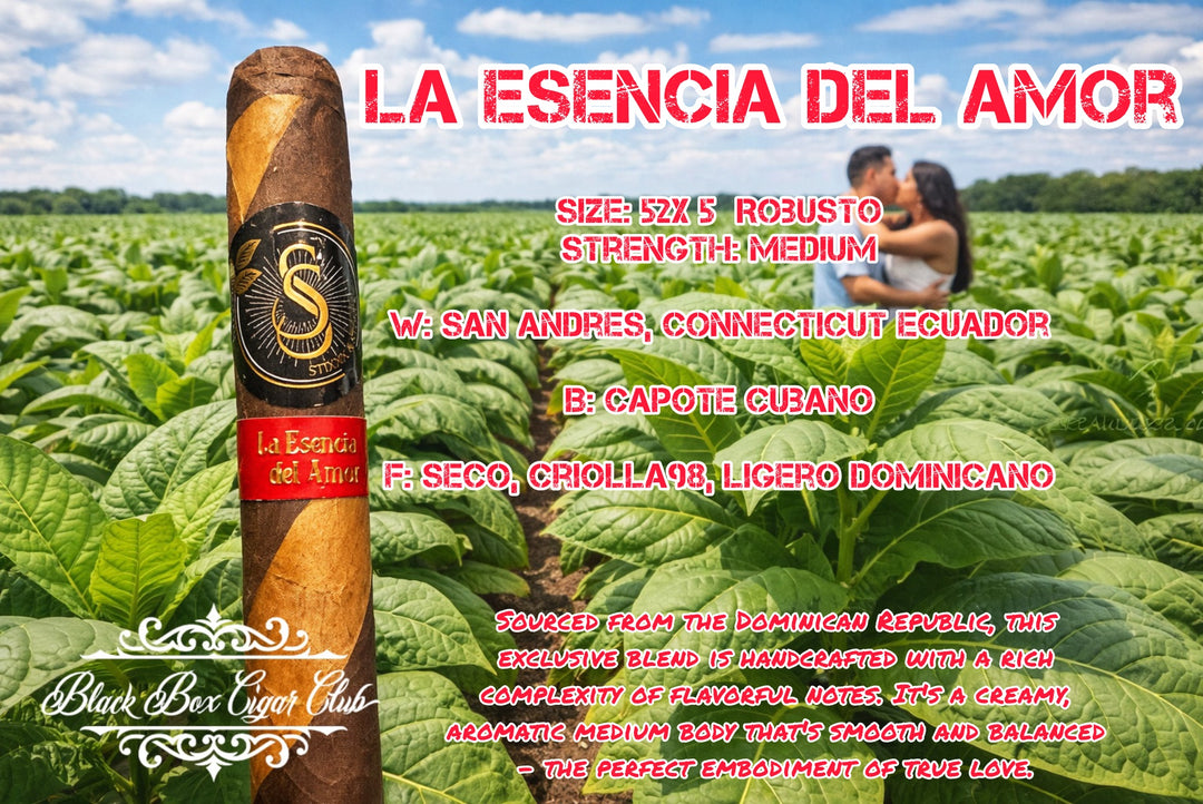 tobacco manufacturers in india tobaccoindustry #healthawareness #youburntheyearn #india #rajapillai #branding #marketing