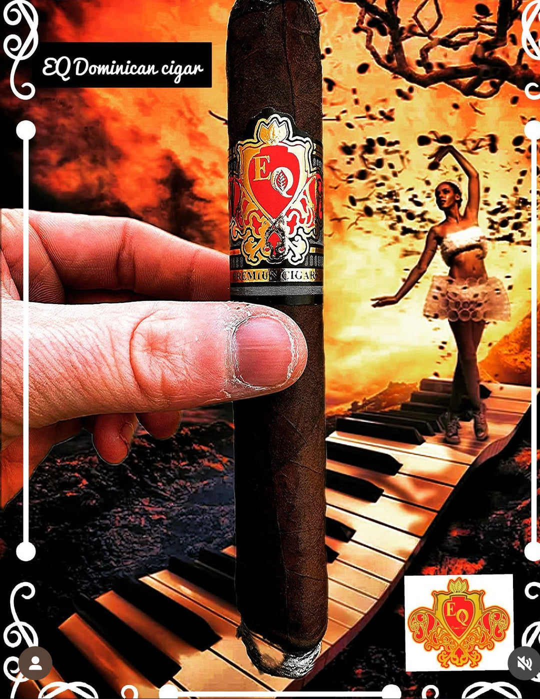 EQ Cigars ⬇️ (3 Blends)