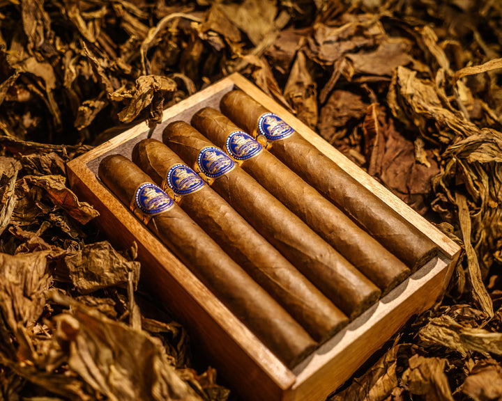 Broncano Cigars