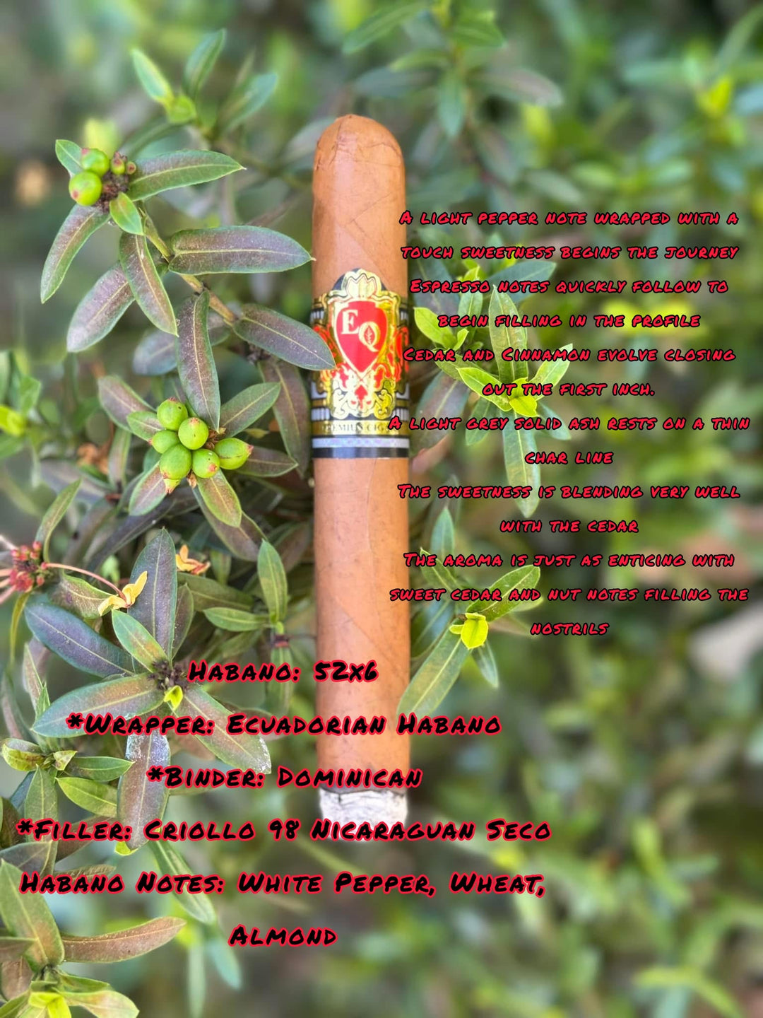 eq cigarette EQ Cigars ⬇️ (3 Blends) – Black Box Cigar Club eq cigarette EQ Cigars ⬇️ (3 Blends) – Black Box Cigar Club