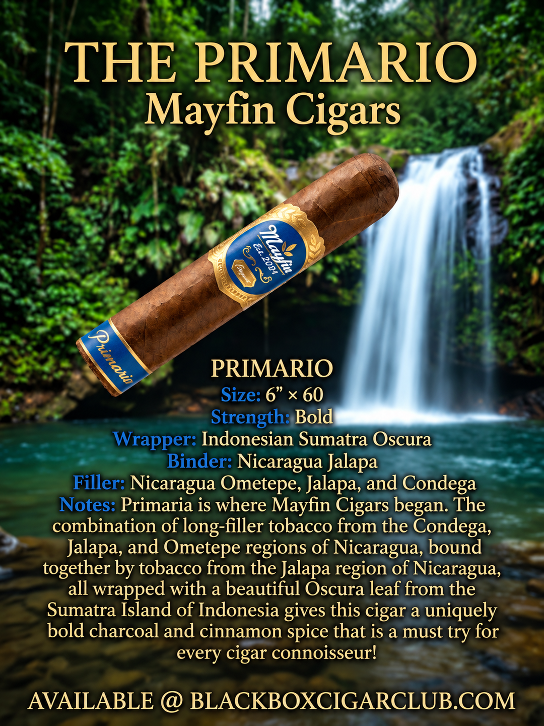 Cigar Mike EXCLUSIVE  $9.99 LIMITED TIME (discount codes invalid)