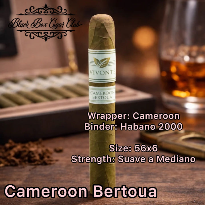 Vivonté Cigars