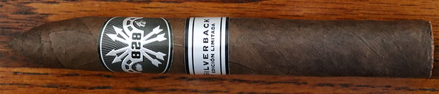 828 Benjamin SilverBack "Limited Edition"