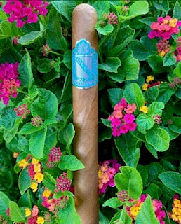 Vorieo Cigars- " 1KVI:XXIX PLATINUM"