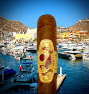 Vorieo Cigars "Duck & Sun"